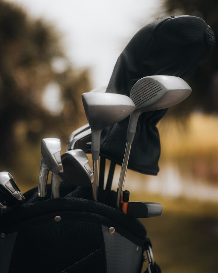 services-04 A close-up of a golf club set in a bag against a blurred outdoors backdrop.